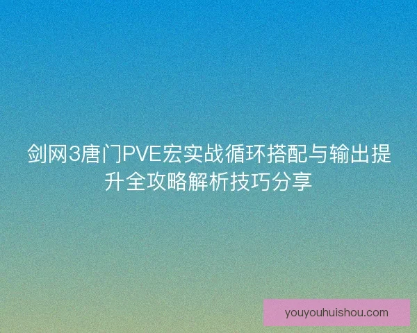 剑网3唐门PVE宏实战循环搭配与输出提升全攻略解析技巧分享
